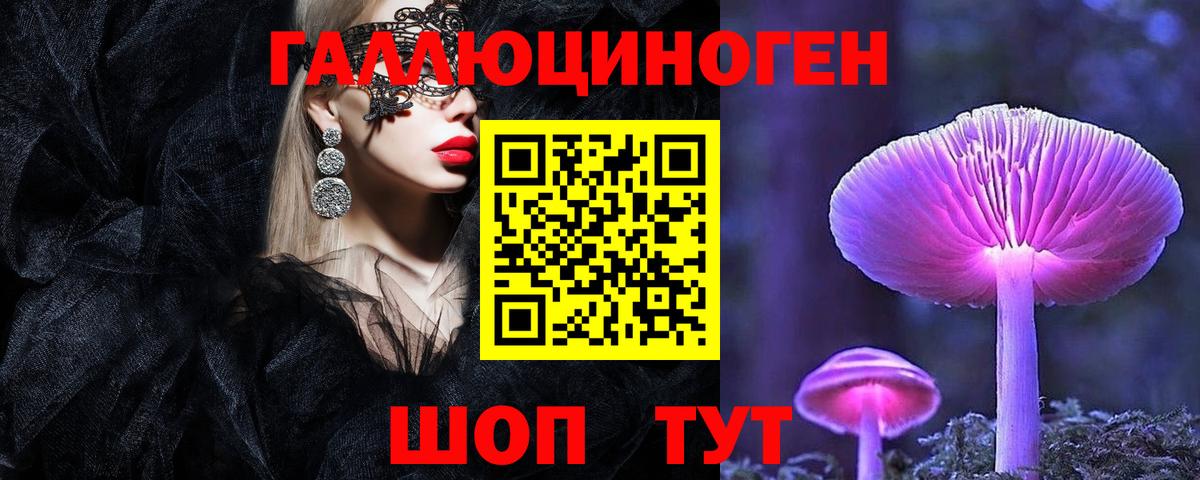 Киров  Псилоцибиновые грибы прущие грибы  Вход с VPN 