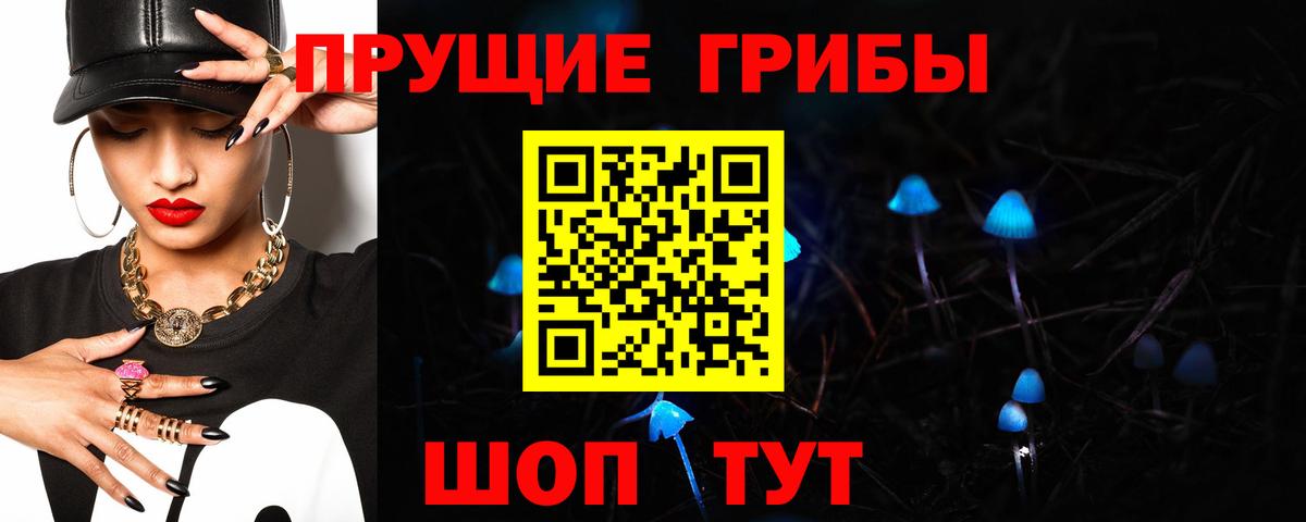 Псилоцибиновые грибы GOLDEN TEACHER Киров